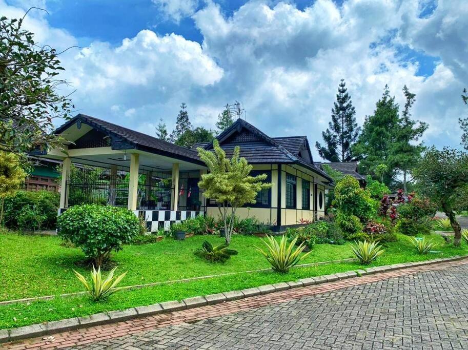 Designer Villa Osaka Пунчак Экстерьер фото