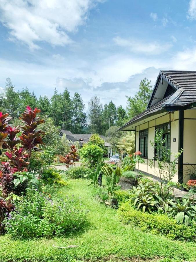Designer Villa Osaka Пунчак Экстерьер фото