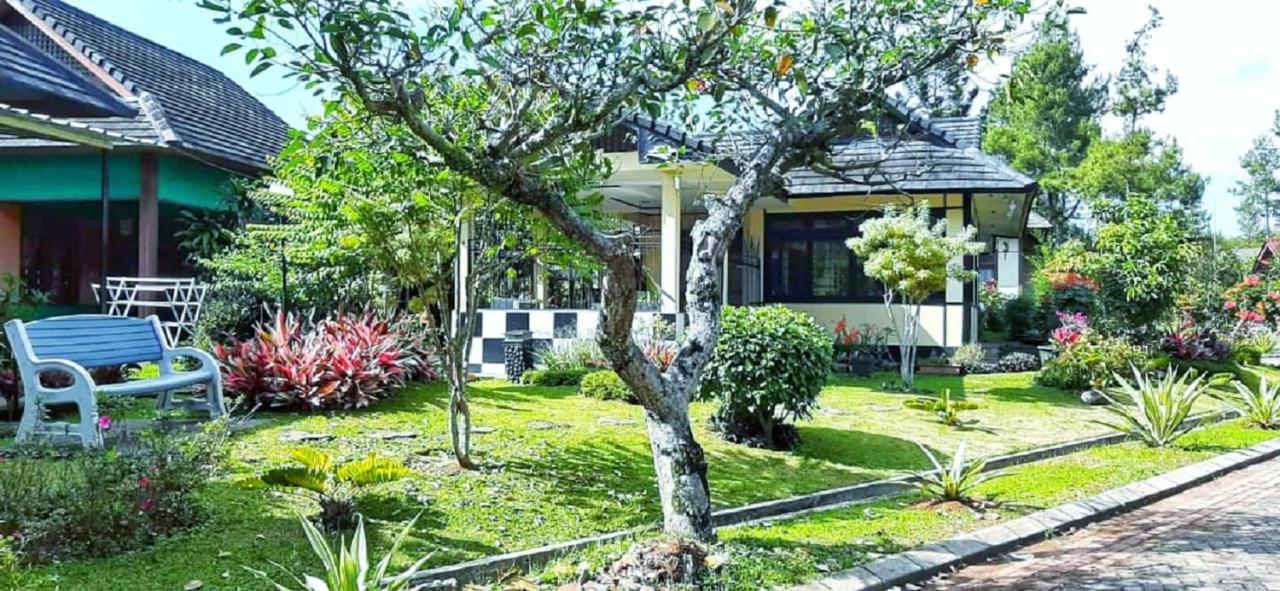 Designer Villa Osaka Пунчак Экстерьер фото